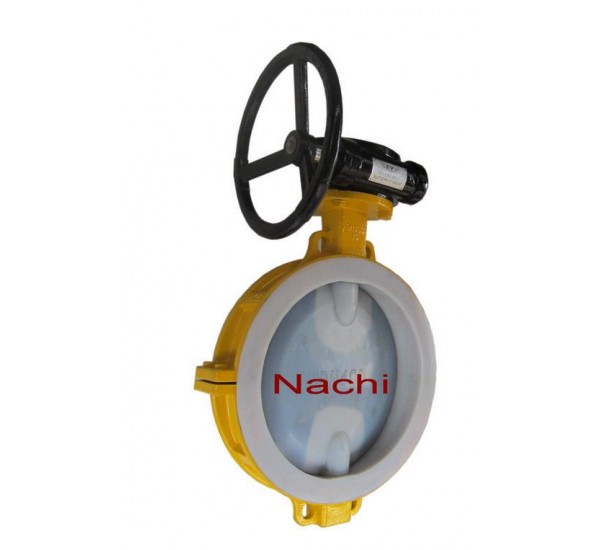 Teflon Line Butterfly Valve2