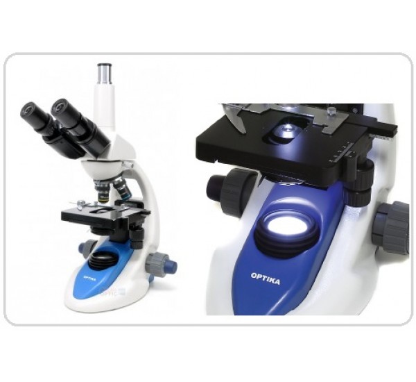 Trinocular Microscopes