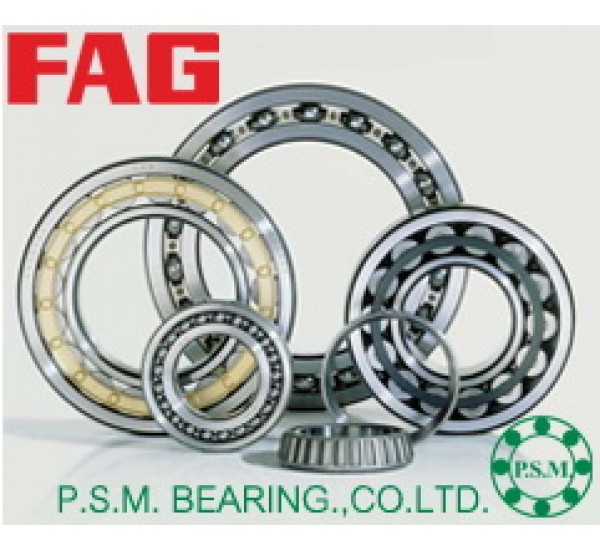 FAG-แบรนด์ตลับลูกปืนชั้นนำ