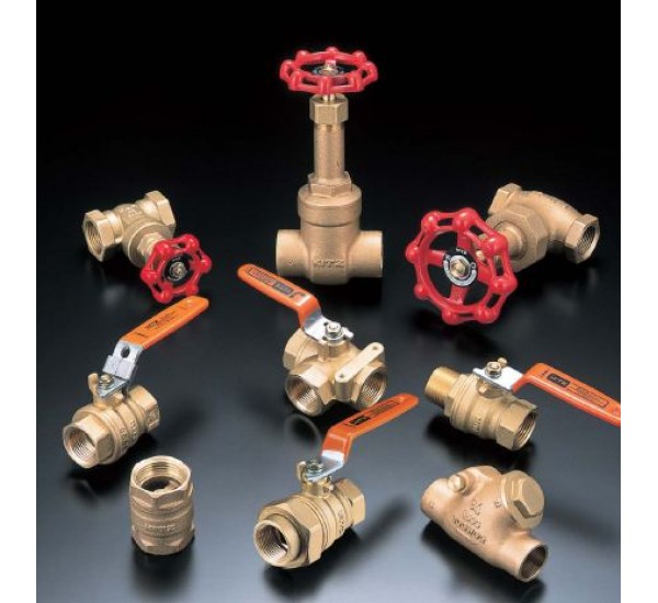 Gate Valves, Globe Valves, Ball Valves