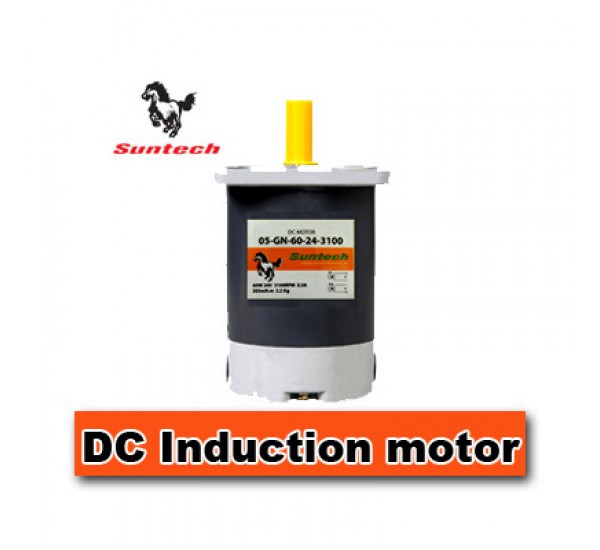 Suntech DC Induction Motor
