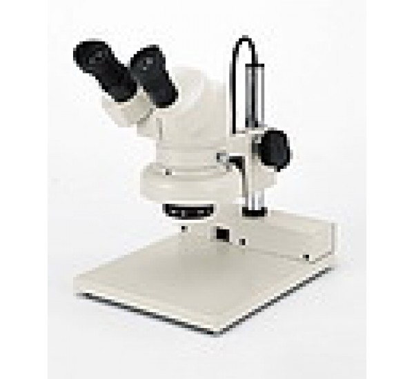 Stereo Microscopes