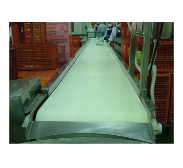 Belt Conveyors