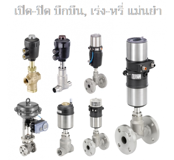 Process Valves