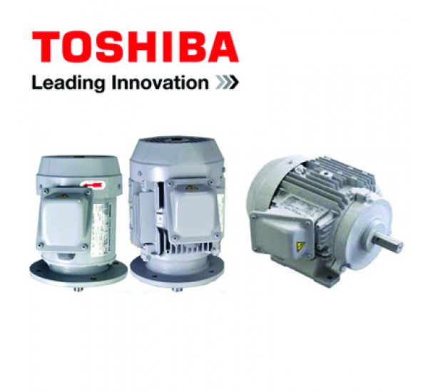 Toshiba Induction Motor