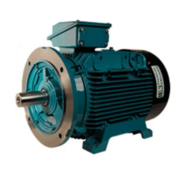 มอเตอร์ไฟฟ้า Brook Crompton T series & TS series