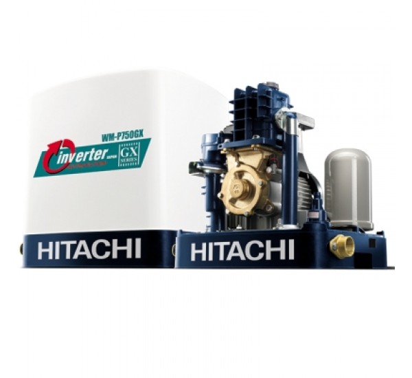 Hitachi Shallow Well Water Pump