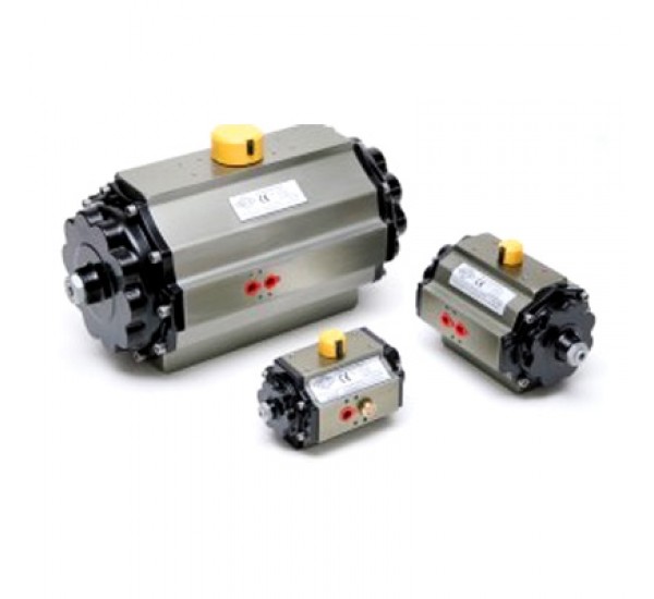 Pneumatic Actuator