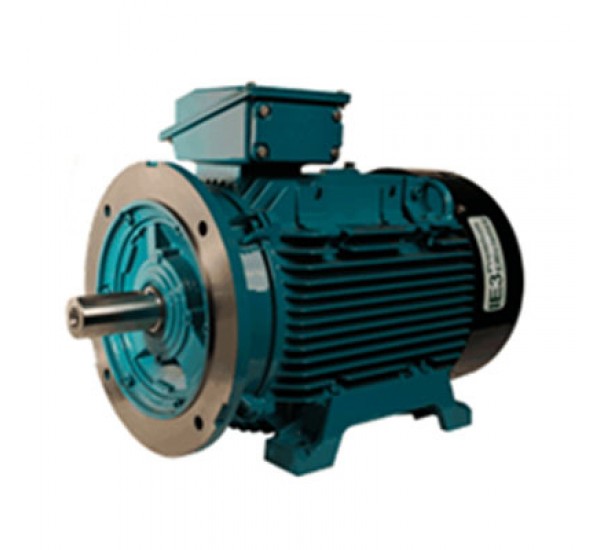 มอเตอร์ไฟฟ้า Brook Crompton T series