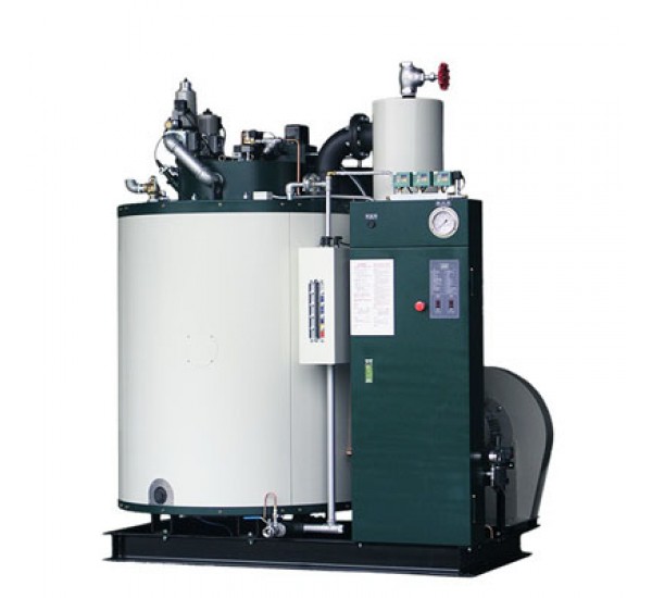 Dual Fuel Steam Boiler 