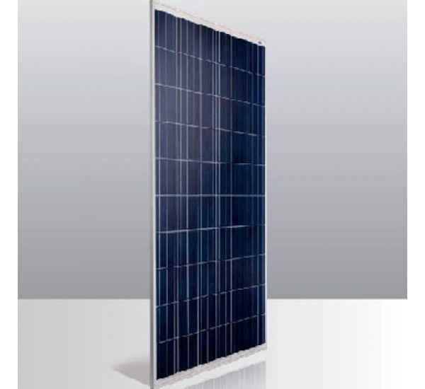 Conergy PE 240P - 260P