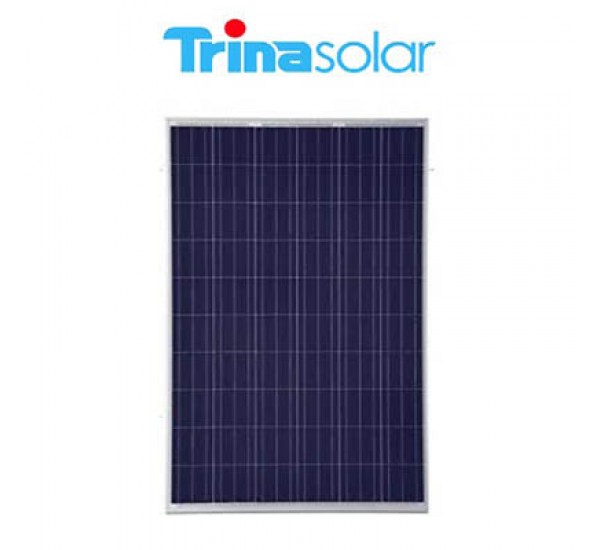PV Module Trina Solar 300W 72 Cell