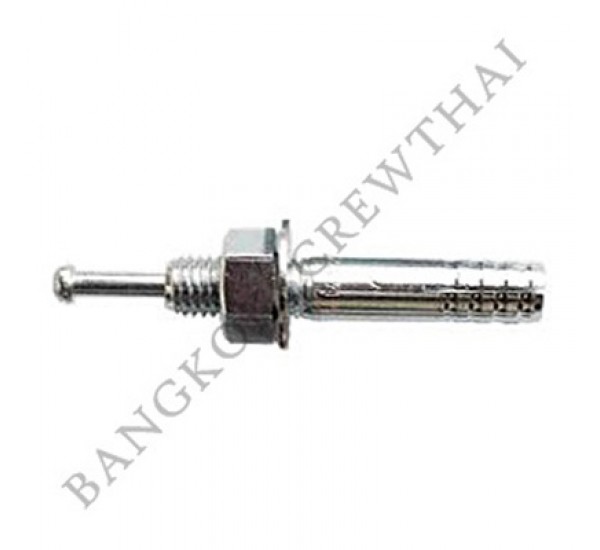 ปุ๊กตะปูสแตนเลส