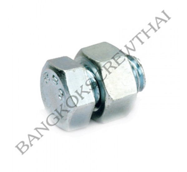 สกรูเหล็กฉาก (สกรูขั้วแบต)