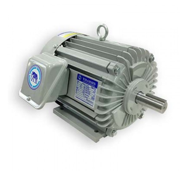 Three Phase Induction Motor