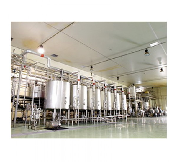 Yoghurt and Drinking Yoghurt